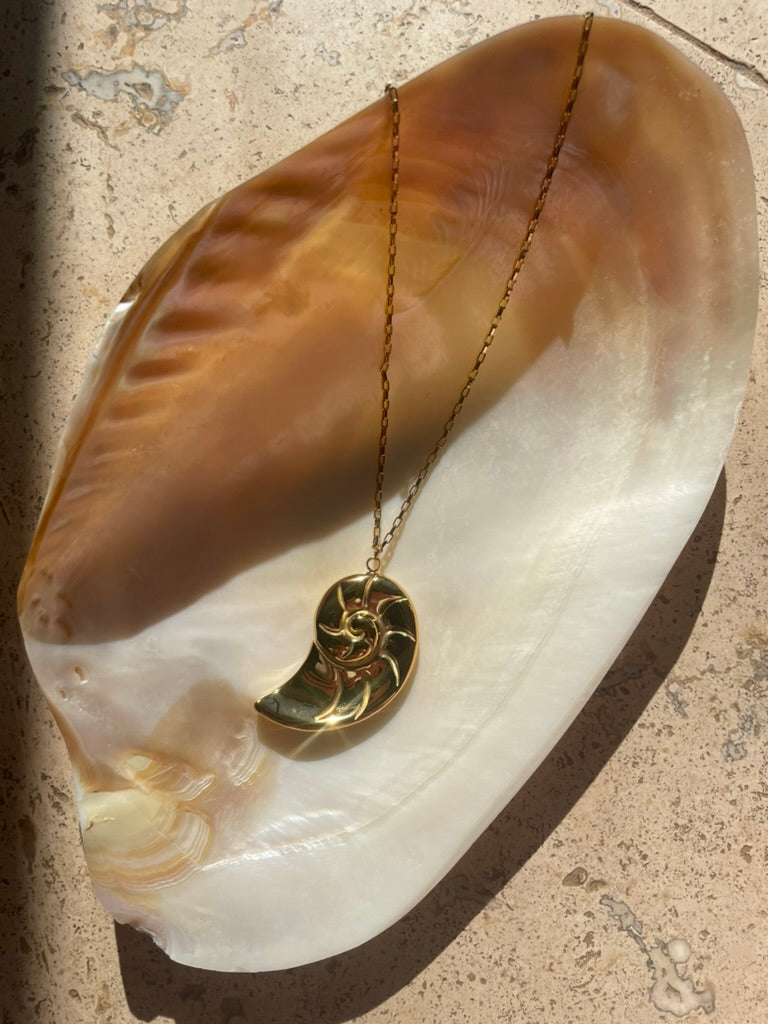 Shell Pendant