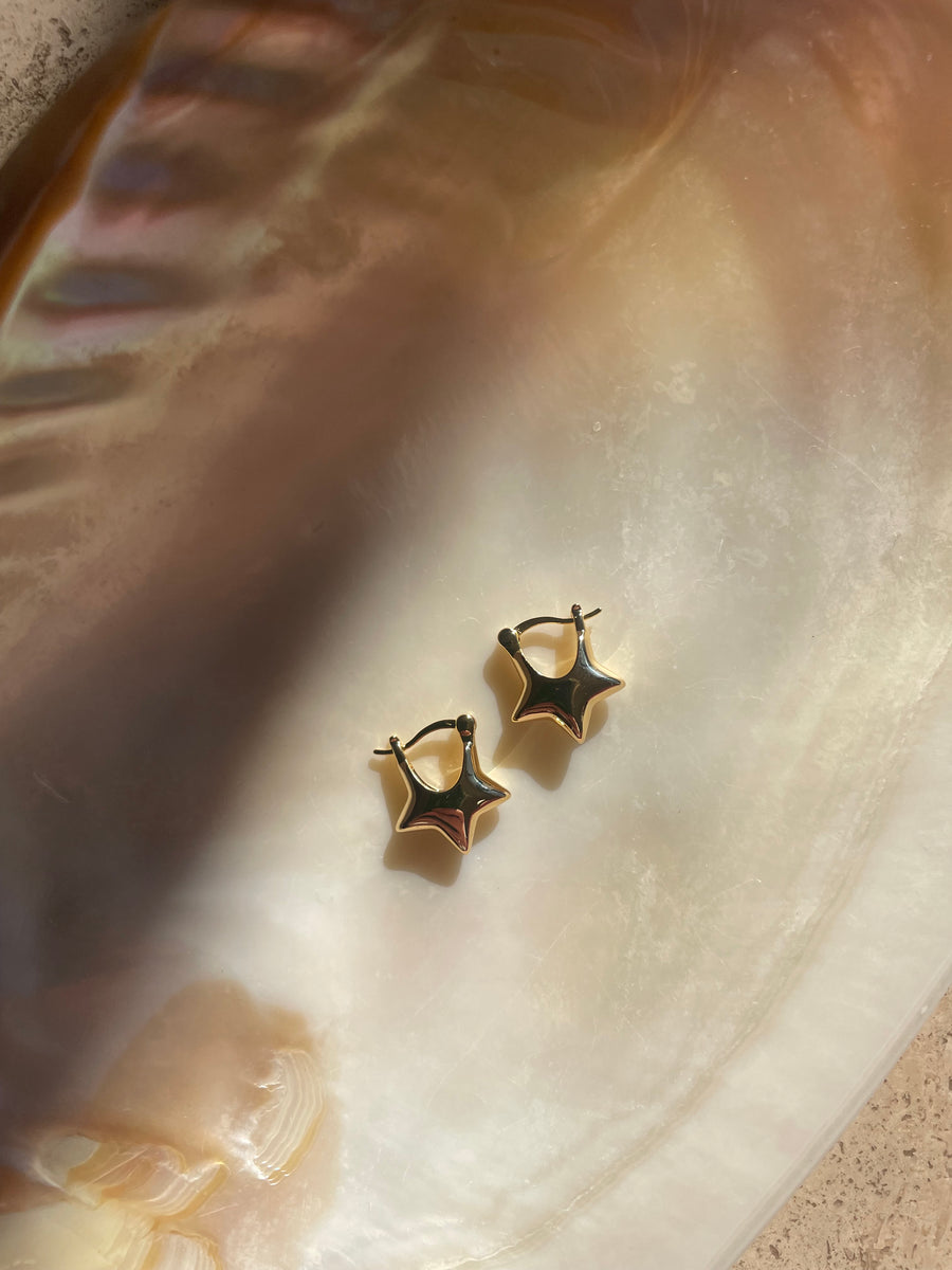Neo Earring