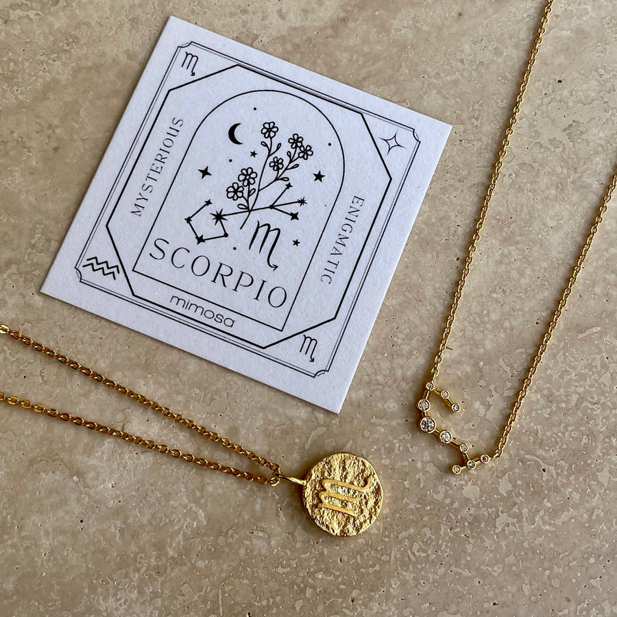 Leo Zodiac Necklace Card - Something Different Wholesale